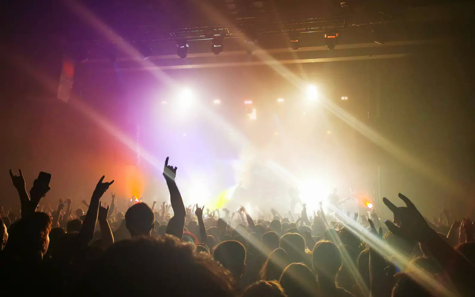 How to Choose the Right EARPEACE Earplugs for Live Music