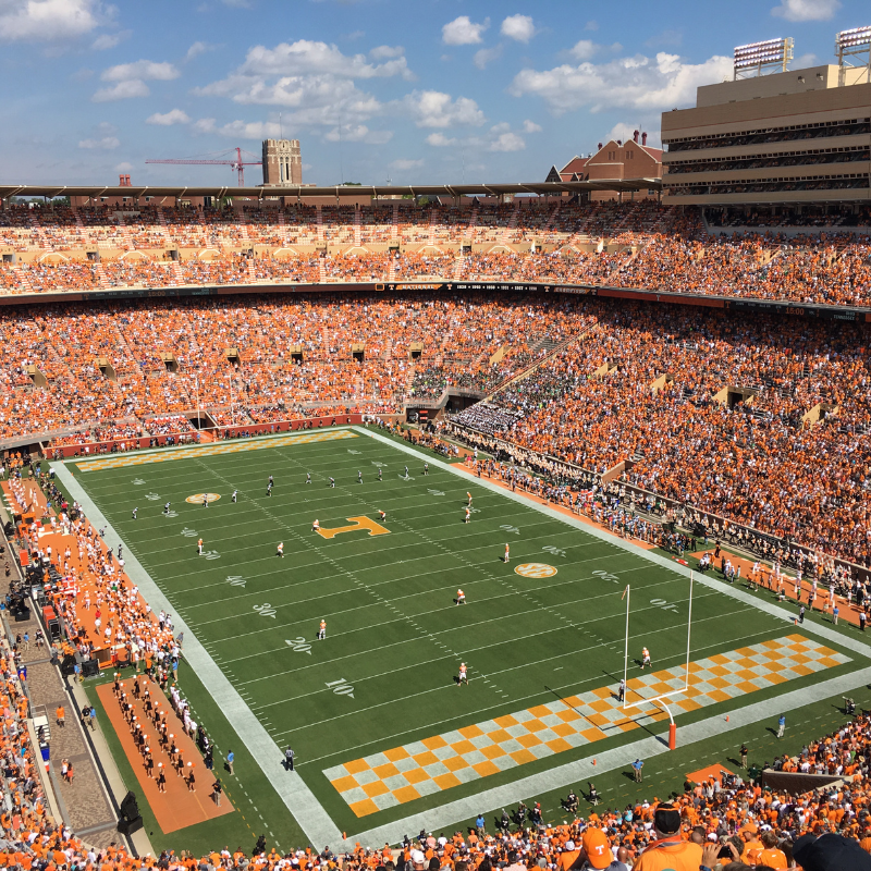 Earplugs for Sporting Events