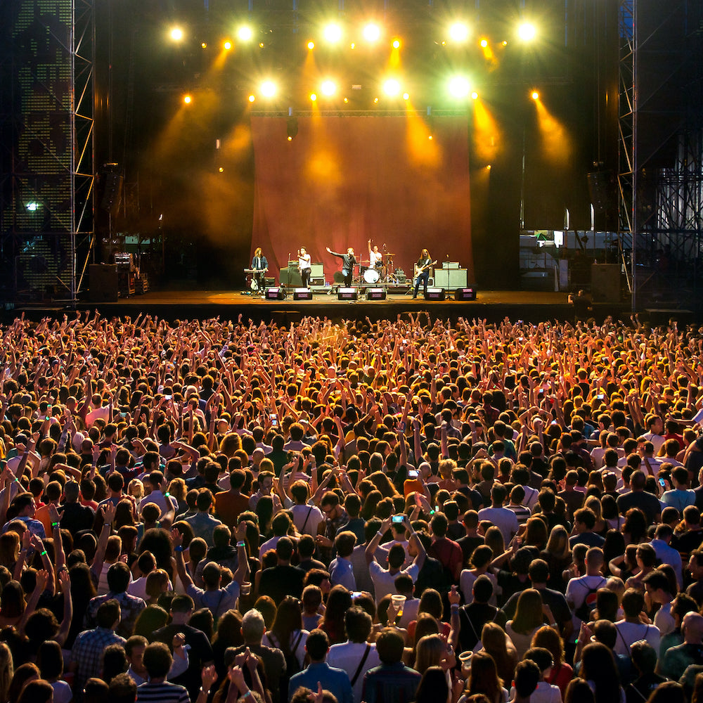 music-big-crowd-facing-stage