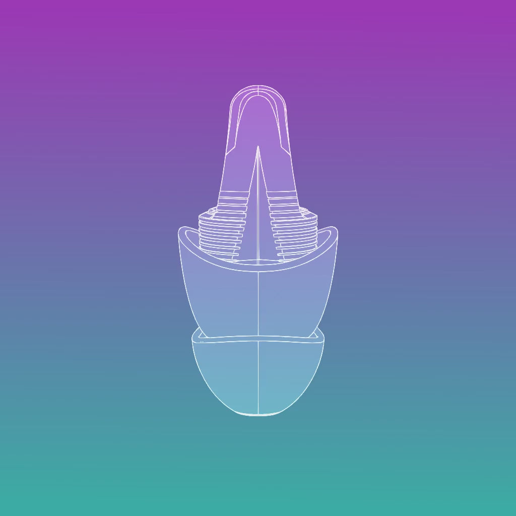 FESTIVAL PRO Earplugs
